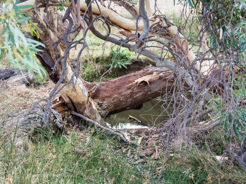 583 (Lot 9) Ashbourne Road, Strathalbyn SA 5255