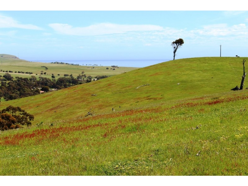 1002 Charles Street, Yankalilla SA 5203