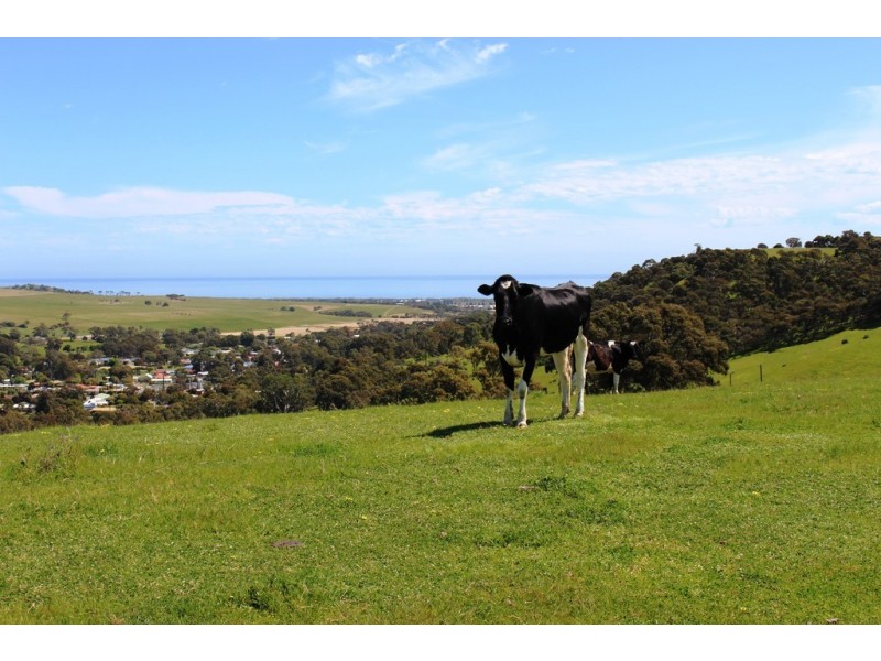 1002 Charles Street, Yankalilla SA 5203
