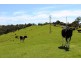 1002 Charles Street, Yankalilla SA 5203