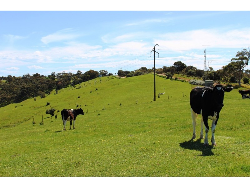 1002 Charles Street, Yankalilla SA 5203