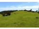 1002 Charles Street, Yankalilla SA 5203