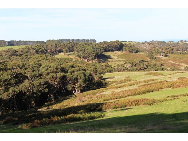 A23 Strangways Road, Inman Valley SA 5211