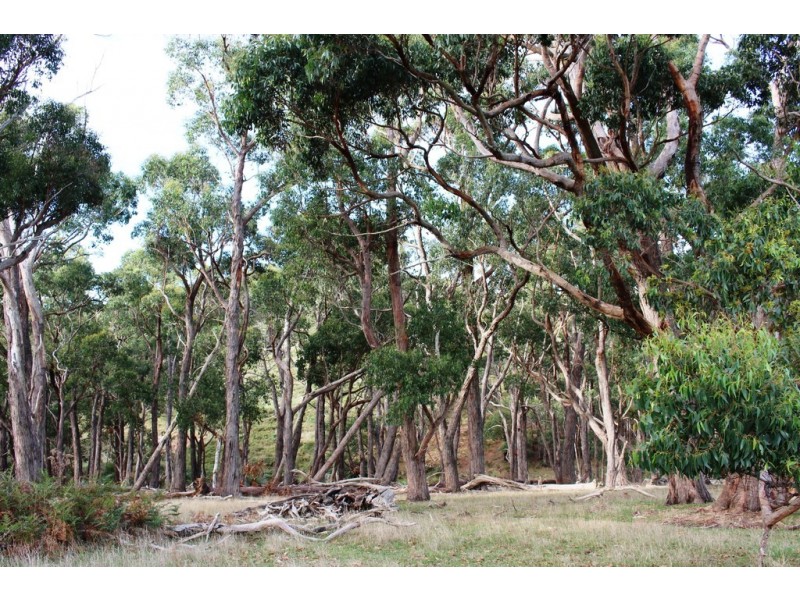 A23 Strangways Road, Inman Valley SA 5211