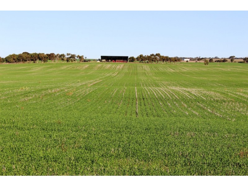 224 Burnlea Road, Langhorne Creek SA 5255