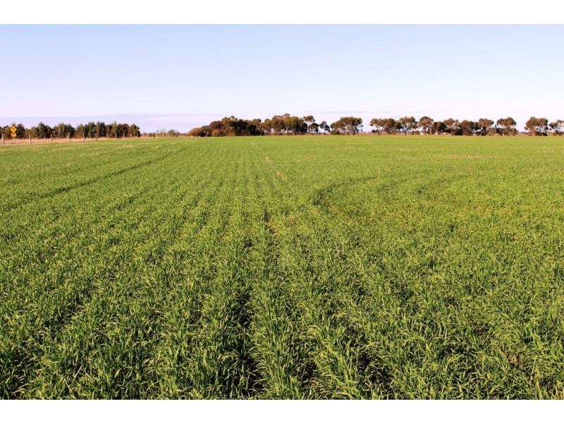 224 Burnlea Road, Langhorne Creek SA 5255