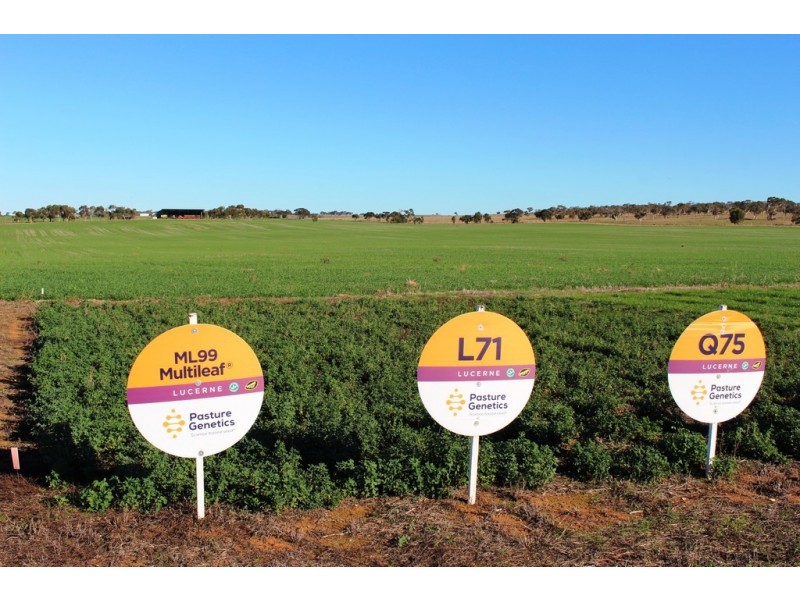 224 Burnlea Road, Langhorne Creek SA 5255