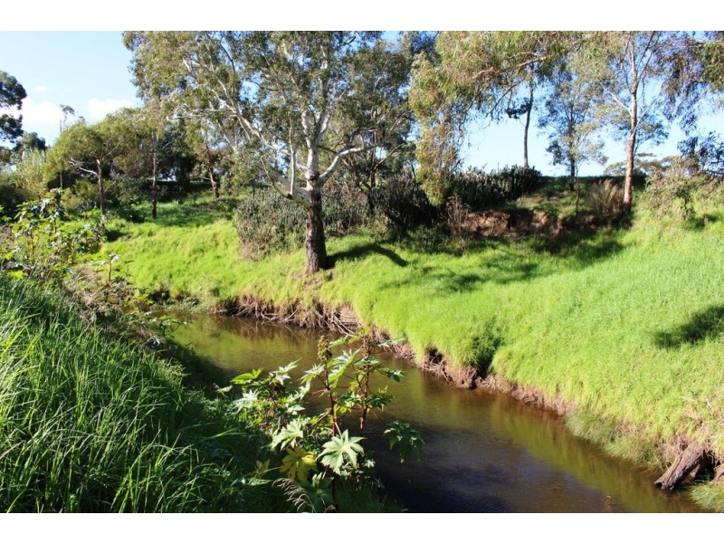 224 Burnlea Road, Langhorne Creek SA 5255