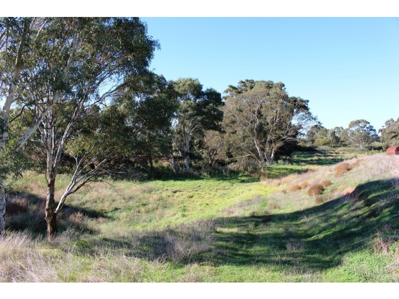 224 Burnlea Road, Langhorne Creek SA 5255