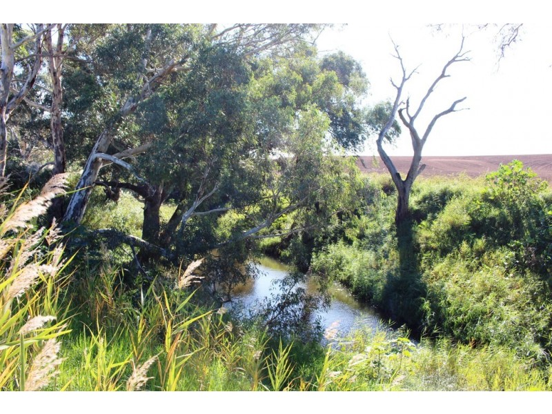 224 Burnlea Road, Langhorne Creek SA 5255