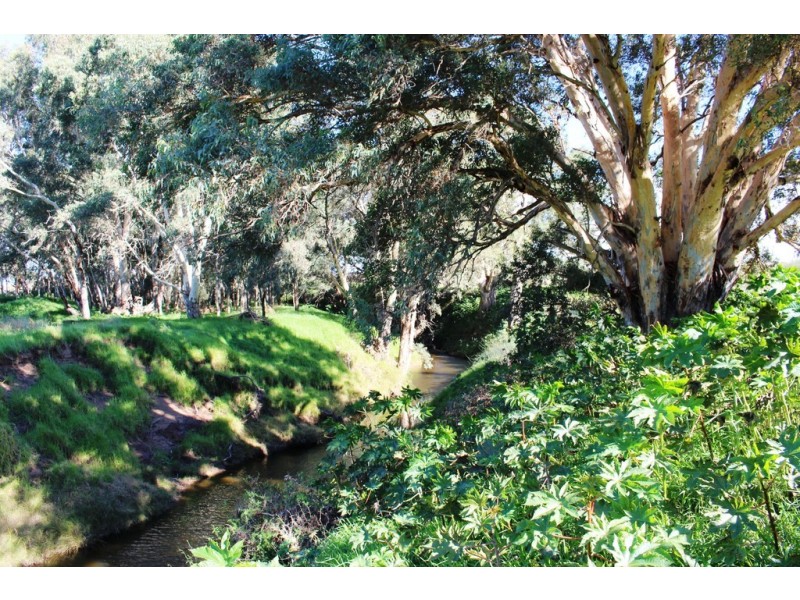 224 Burnlea Road, Langhorne Creek SA 5255