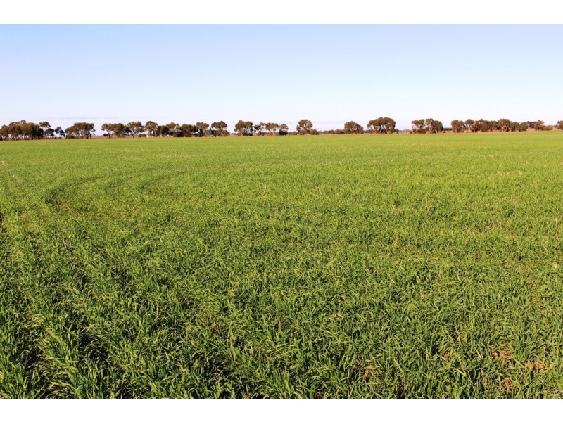 224 Burnlea Road, Langhorne Creek SA 5255