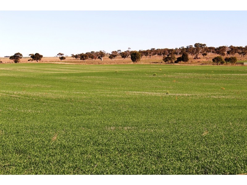 224 Burnlea Road, Langhorne Creek SA 5255