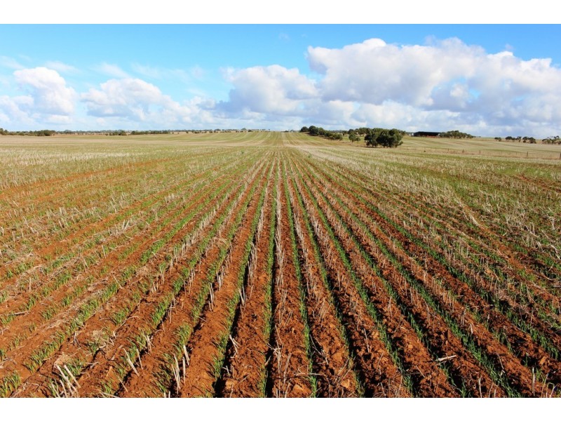 224 Burnlea Road, Langhorne Creek SA 5255