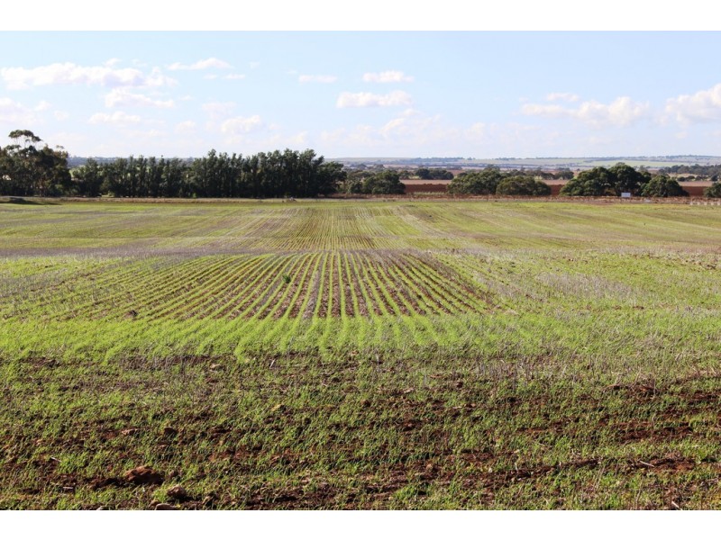 224 Burnlea Road, Langhorne Creek SA 5255