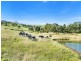 35 Squires Road, Hindmarsh Valley SA 5211