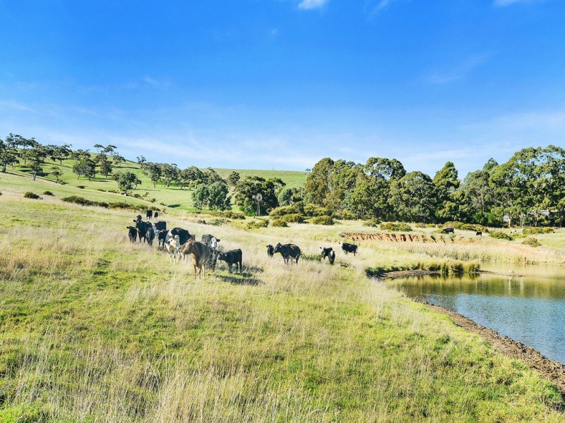 35 Squires Road, Hindmarsh Valley SA 5211