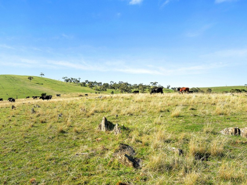 35 Squires Road, Hindmarsh Valley SA 5211