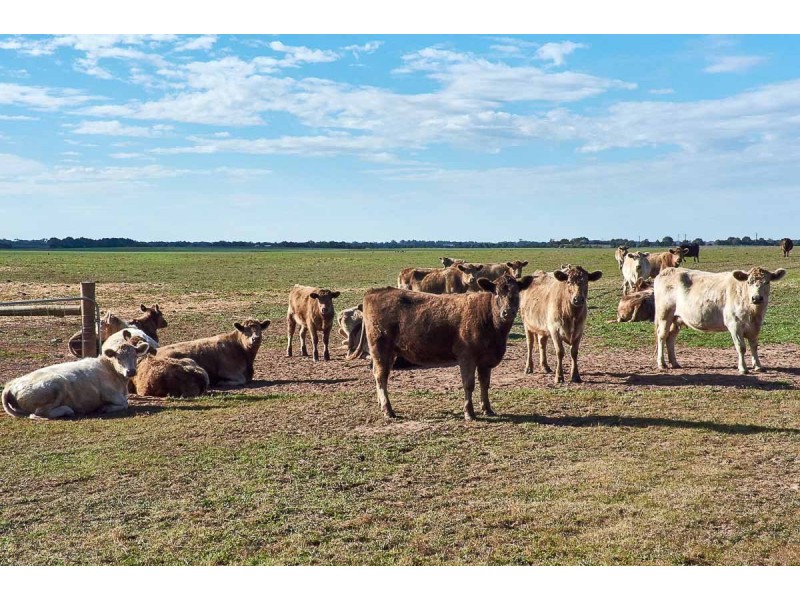 104 Eckert Road, Langhorne Creek SA 5255