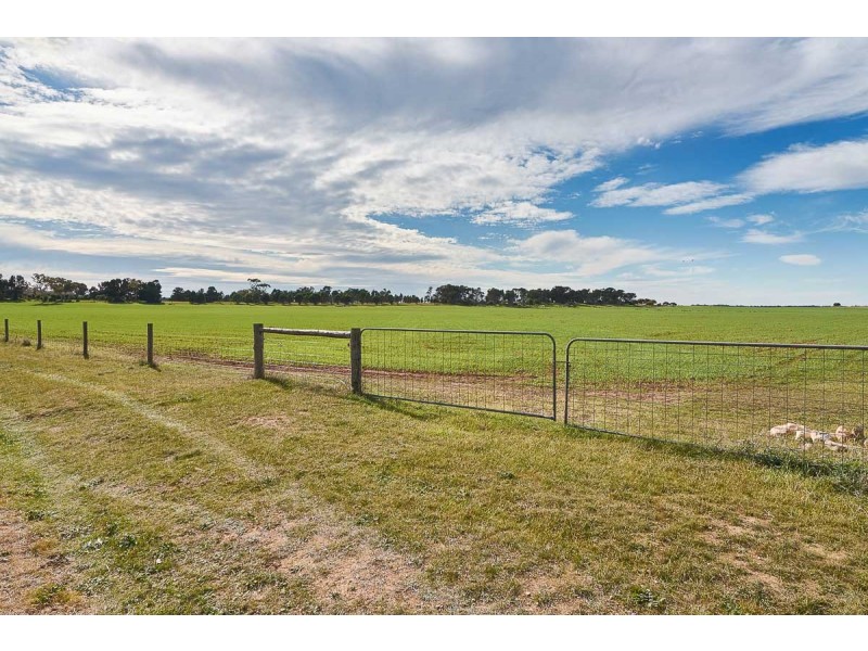 104 Eckert Road, Langhorne Creek SA 5255