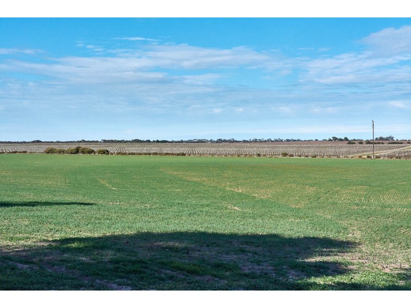 104 Eckert Road, Langhorne Creek SA 5255
