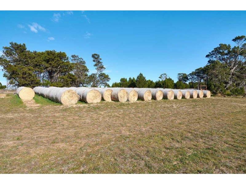 104 Eckert Road, Langhorne Creek SA 5255