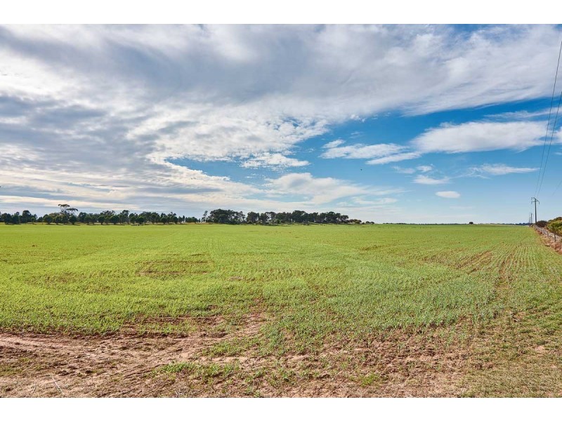 104 Eckert Road, Langhorne Creek SA 5255