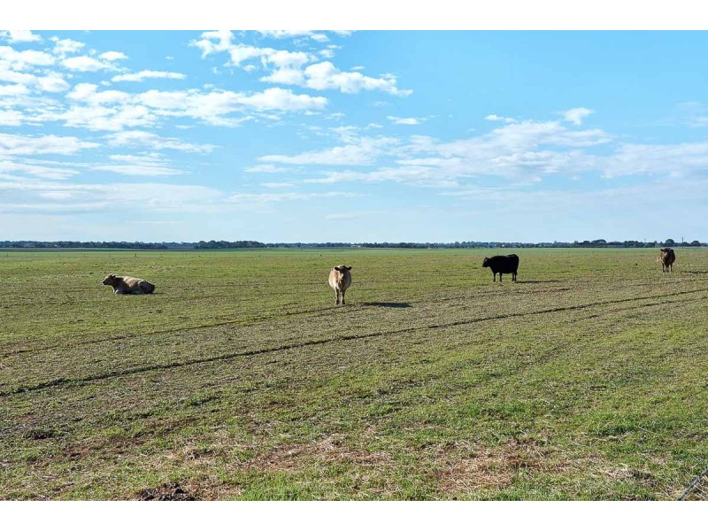 104 Eckert Road, Langhorne Creek SA 5255