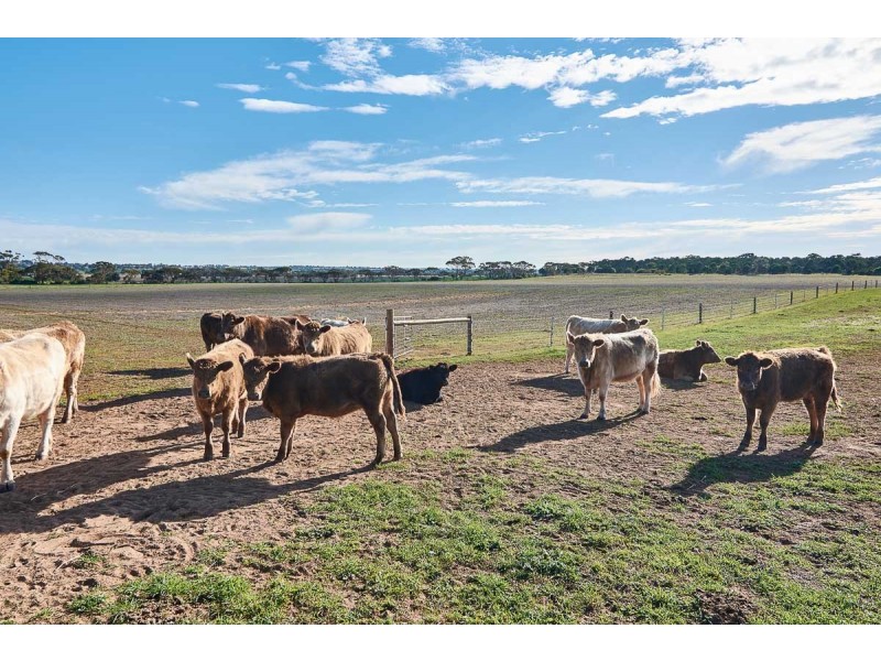 104 Eckert Road, Langhorne Creek SA 5255