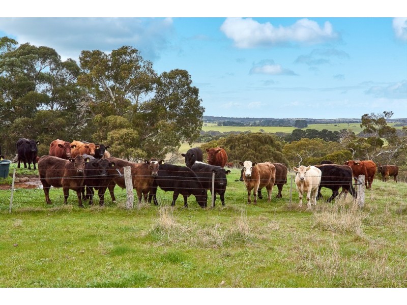 460 Tugwell Road, Victor Harbor SA 5211