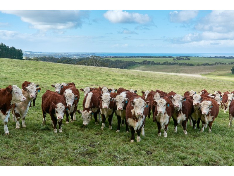 460 Tugwell Road, Victor Harbor SA 5211