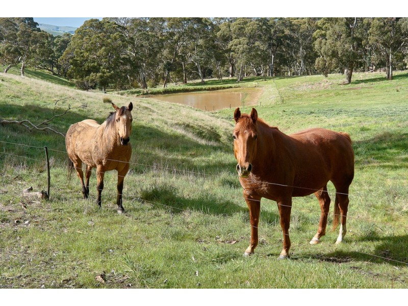 460 Tugwell Road, Victor Harbor SA 5211