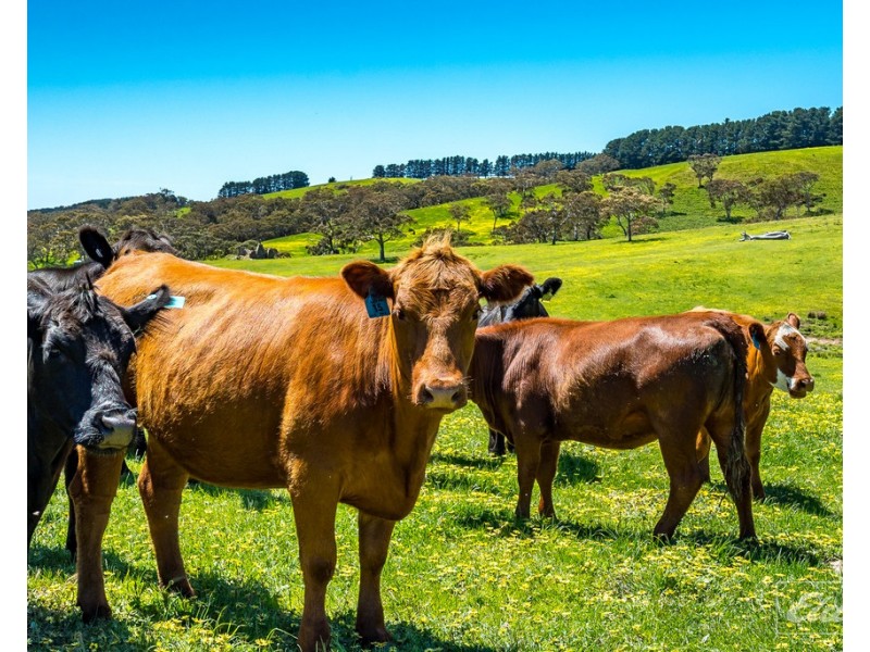 Lot 20 Main South Road and Norman Lane, Delamere SA 5204