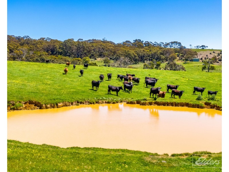 Lot 20 Main South Road and Norman Lane, Delamere SA 5204