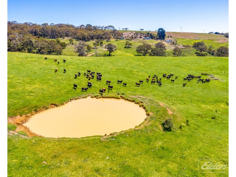 Lot 20 Main South Road and Norman Lane, Delamere SA 5204