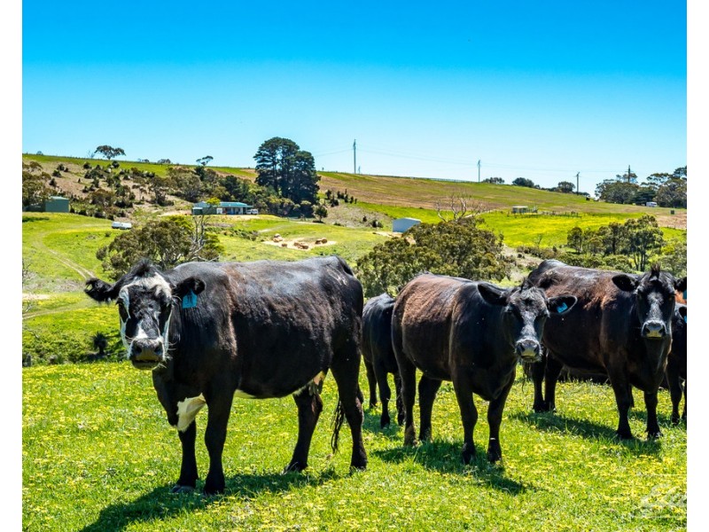 Lot 20 Main South Road and Norman Lane, Delamere SA 5204