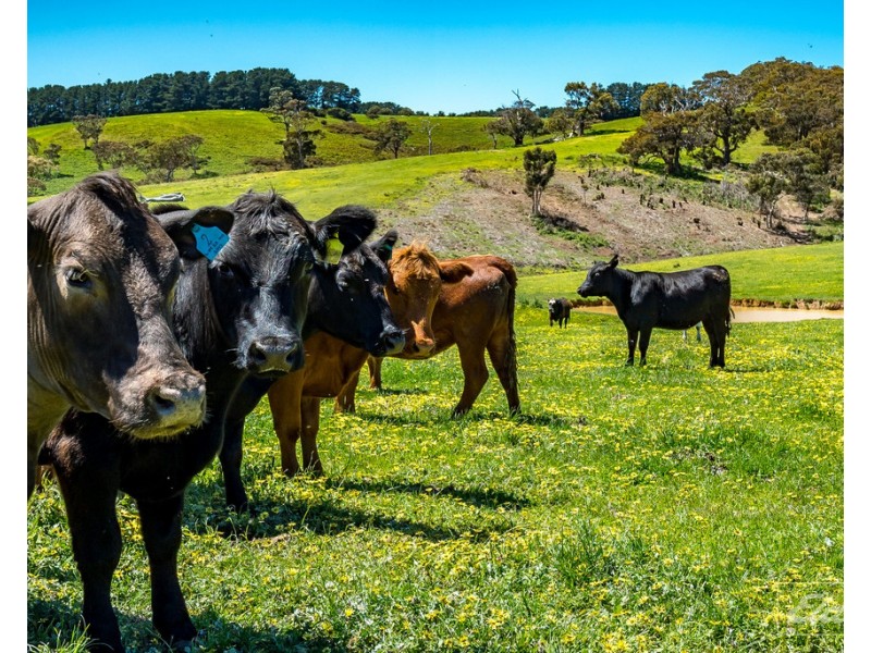 Lot 20 Main South Road and Norman Lane, Delamere SA 5204