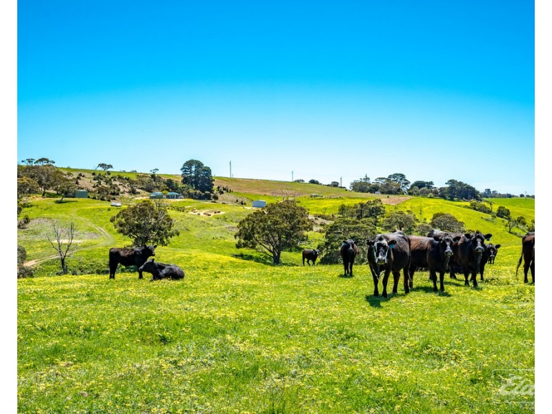 Lot 20 Main South Road and Norman Lane, Delamere SA 5204