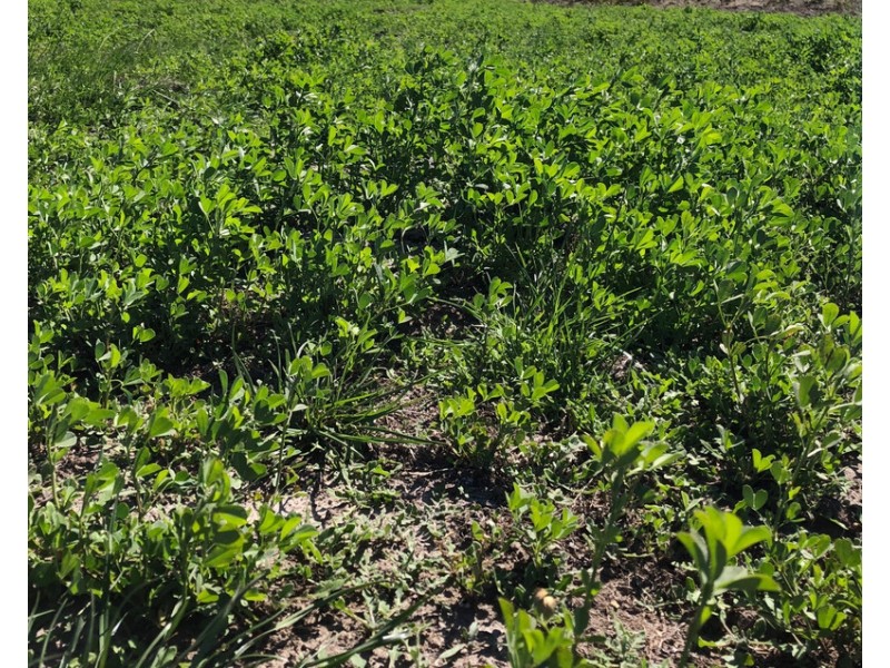 Lot 20 Main South Road and Norman Lane, Delamere SA 5204