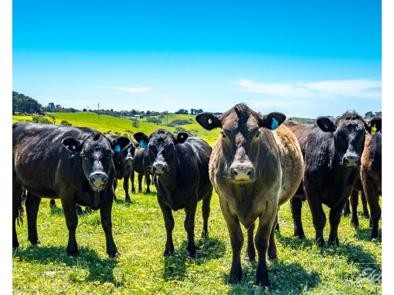 Lot 20 Main South Road and Norman Lane, Delamere SA 5204