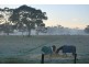 8 Sawpit Gully Road, Inman Valley SA 5211
