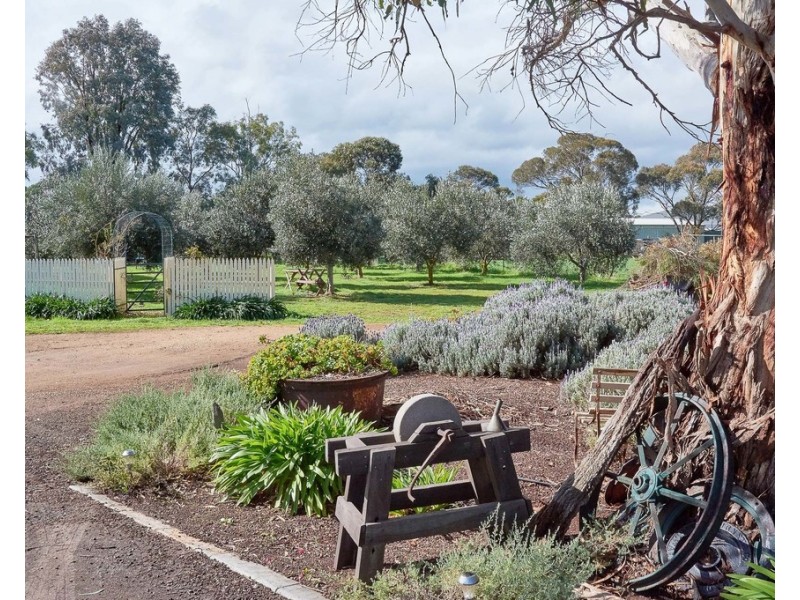 9 Edward  Street, Strathalbyn SA 5255