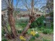 9 Edward  Street, Strathalbyn SA 5255