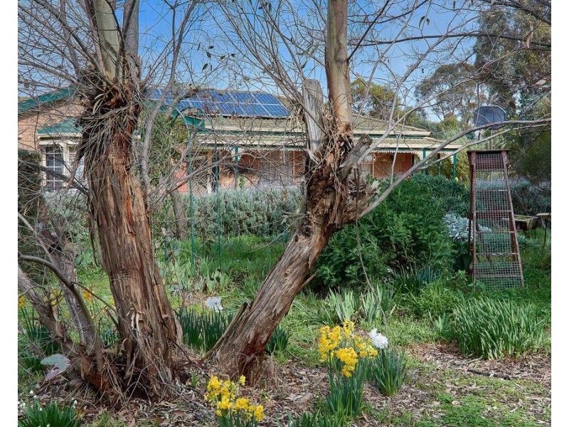 9 Edward  Street, Strathalbyn SA 5255