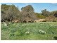 Lot 69 Cox Road, Strathalbyn SA 5255