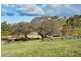 Lot 69 Cox Road, Strathalbyn SA 5255