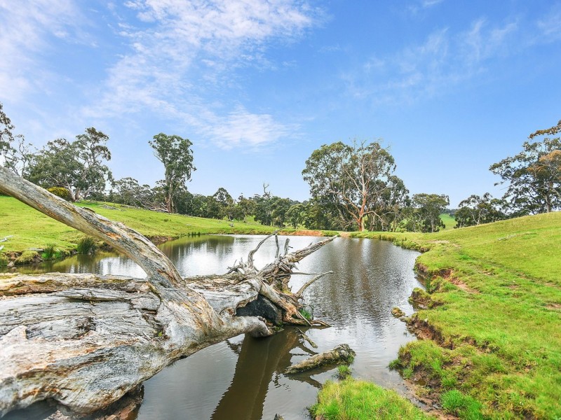 A527 Dog Trap Road, Strathalbyn SA 5255