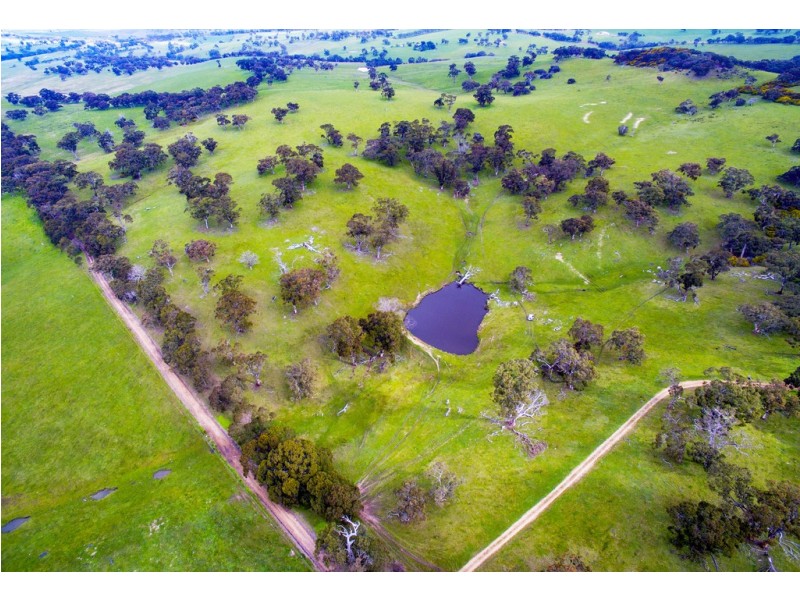 A527 Dog Trap Road, Strathalbyn SA 5255