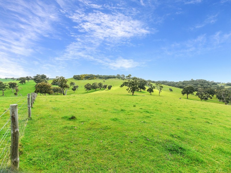 A527 Dog Trap Road, Strathalbyn SA 5255