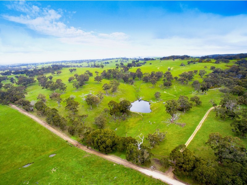 A527 Dog Trap Road, Strathalbyn SA 5255